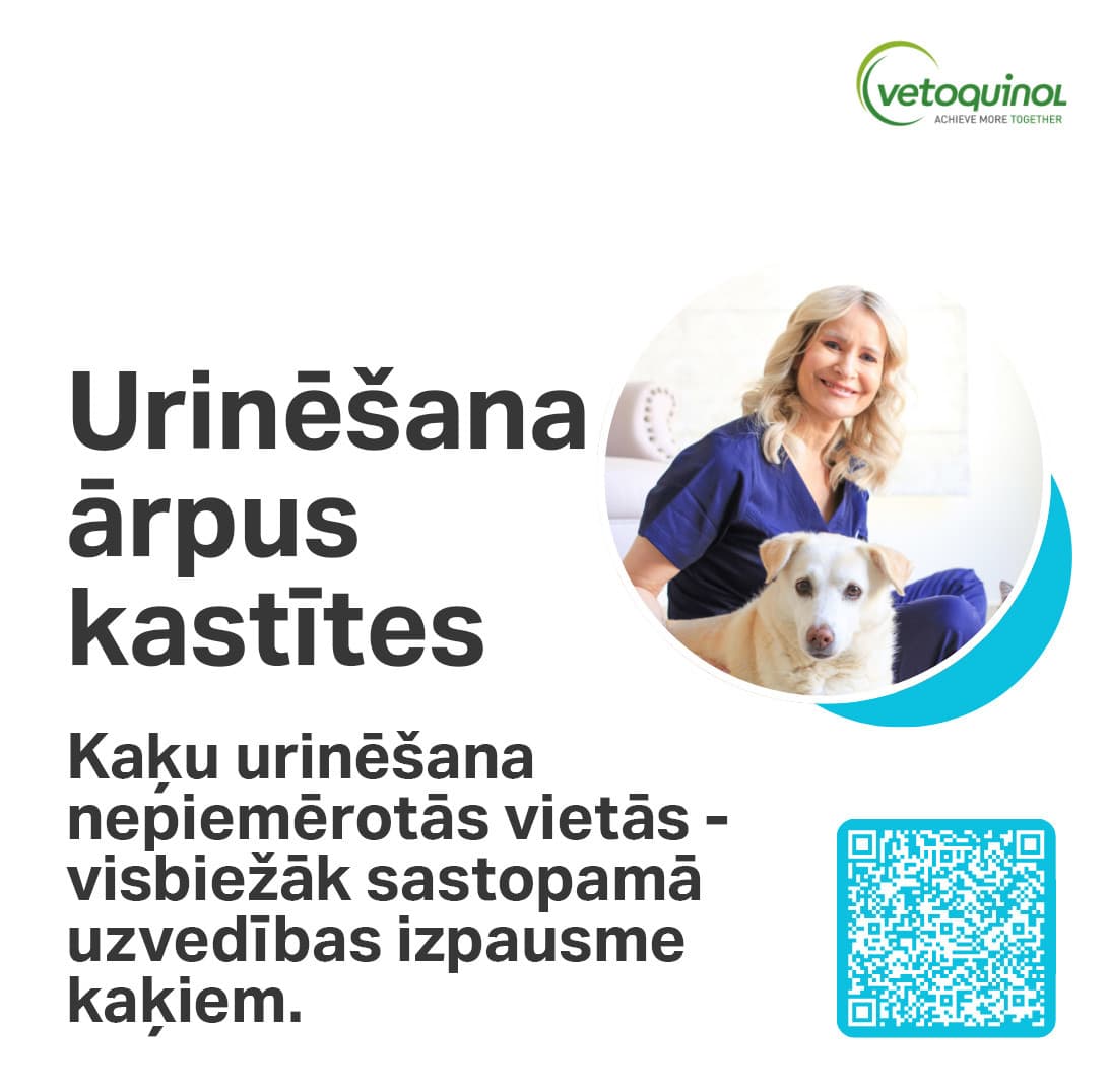 https://admins.bertasnams.lv/storage/media/19900/conversions/Urinesana-arpus-kastites-web-thumb.jpg